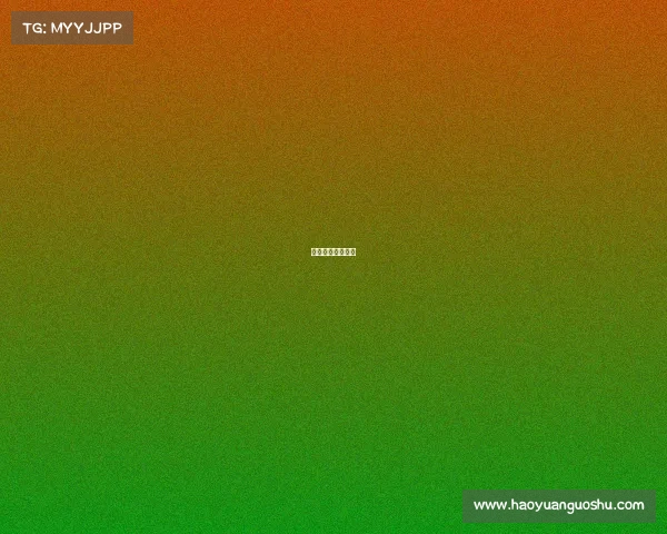 美国篮球比赛结果